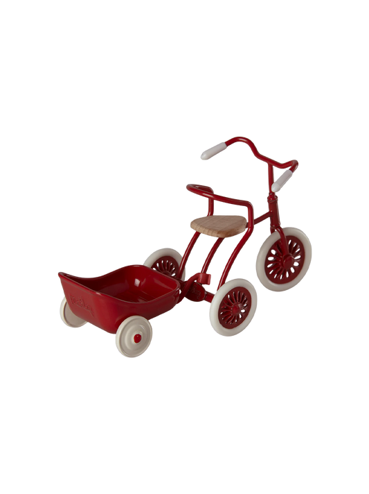 Miniature tricycle hanger