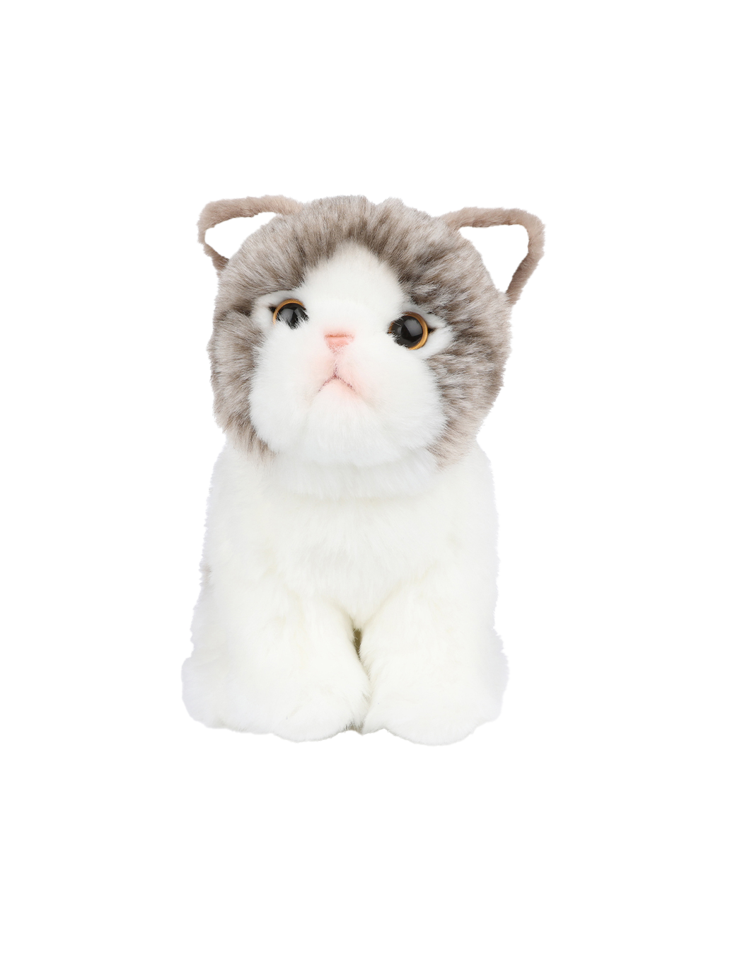 Peluche Amelie la Scottish Fold