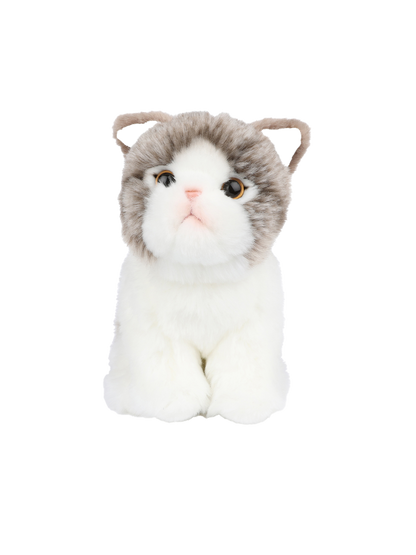 Peluche Amelie lo Scottish Fold