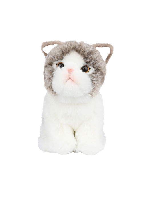 Peluche Amelie lo Scottish Fold