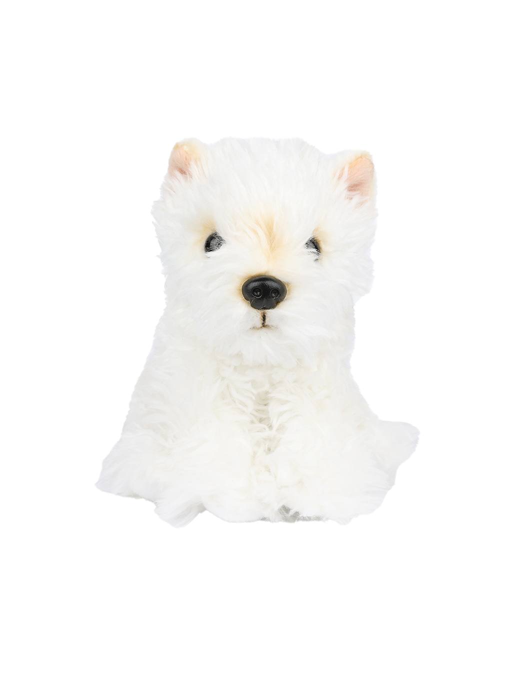 Timothy the Scottish Terrier soft toy