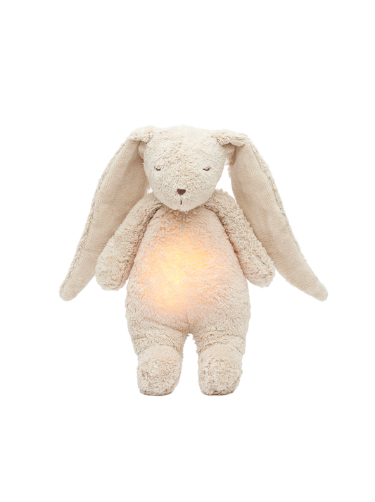 Organic humming bunny with a lamp