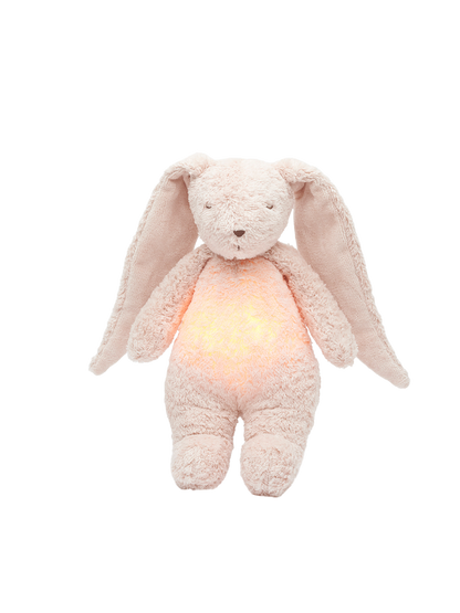 Organic humming bunny with a lamp