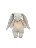 Organic humming bunny with a lamp