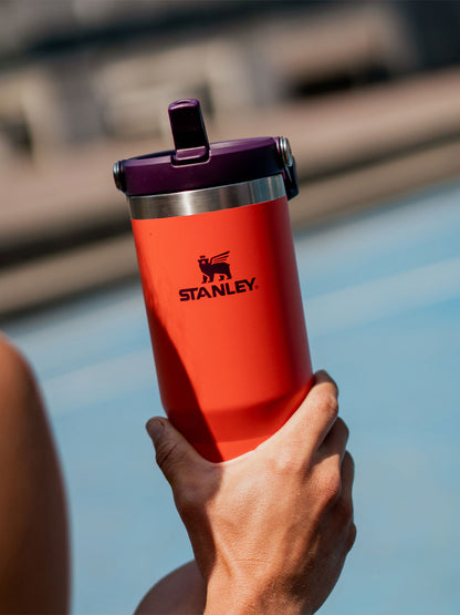 Stanley The IceFlow Flip Straw Tumbler