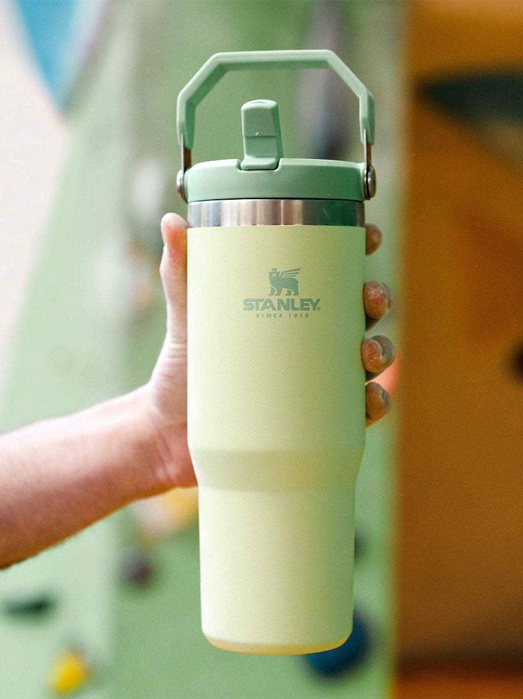 Stanley The IceFlow Flip Straw Tumbler