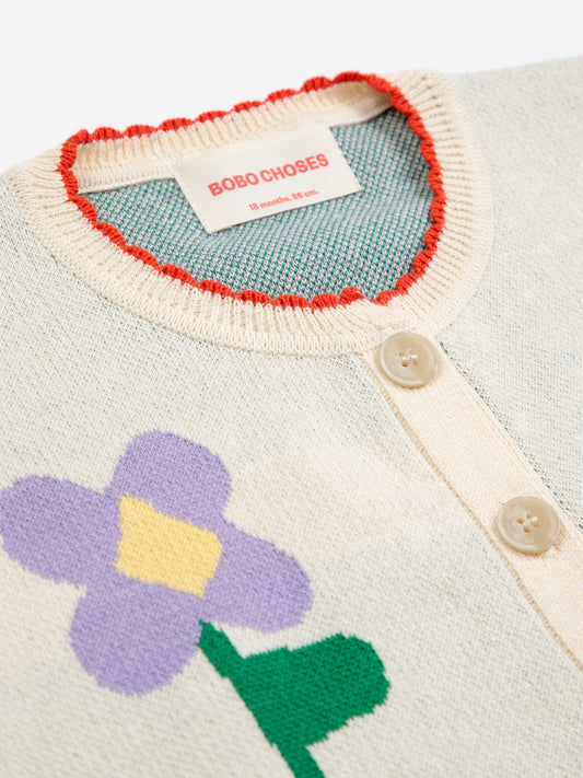 Cardigan Baby Pansy Flower