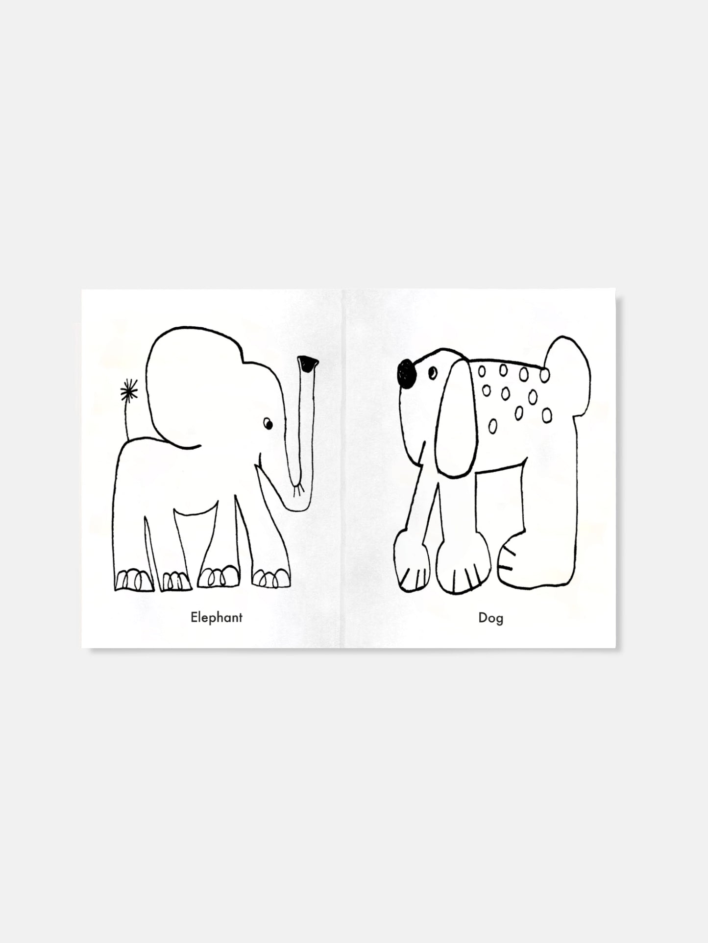 Coloring Book AW24