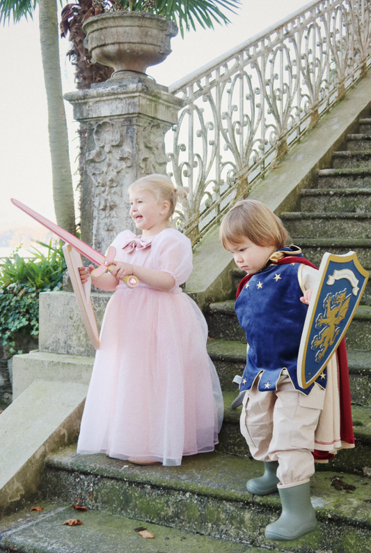 Princess dress costume