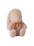 Small plush bunny