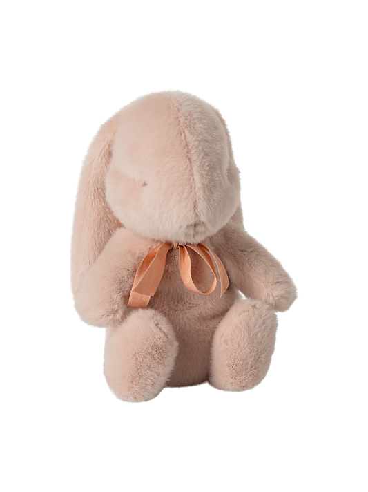 Small plush bunny