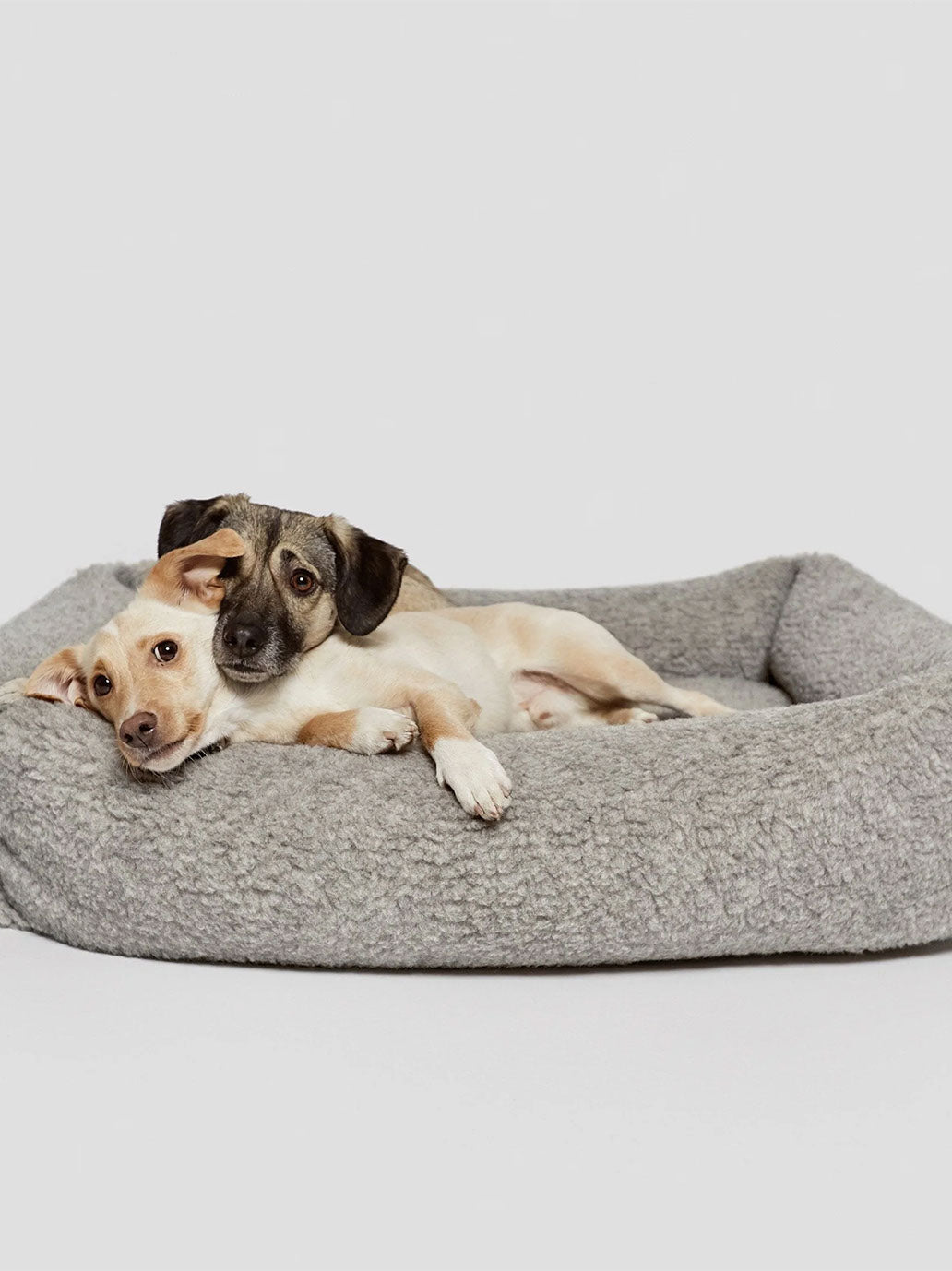 Dog Bed Sleepy Deluxe