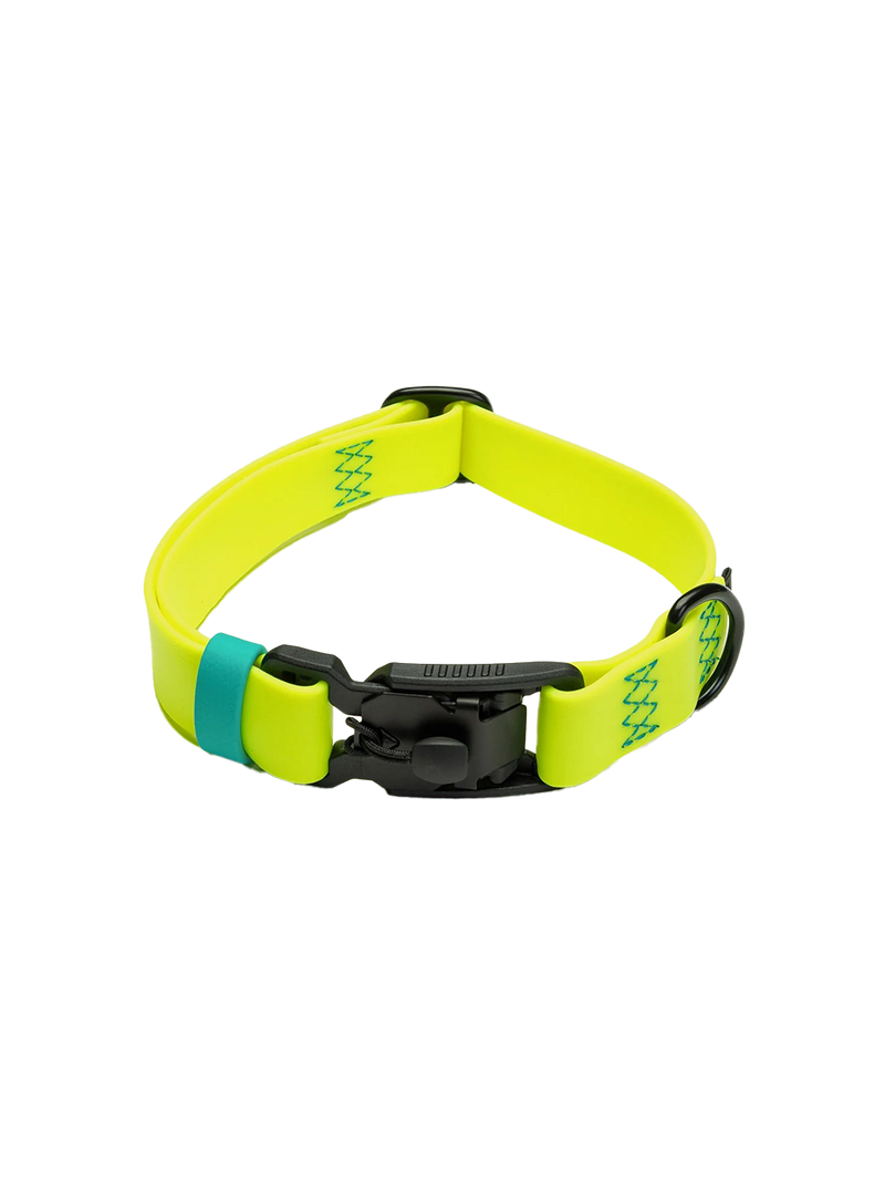 Dog Collar BioThane Ipanema