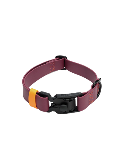 Dog Collar BioThane Ipanema