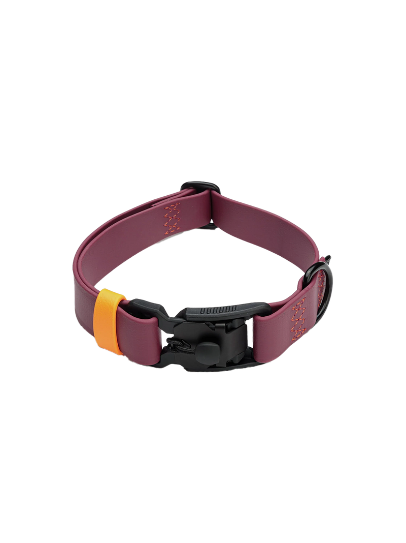 Dog Collar BioThane Ipanema