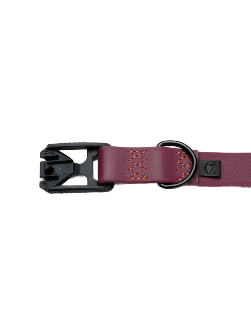 Dog Collar BioThane Ipanema