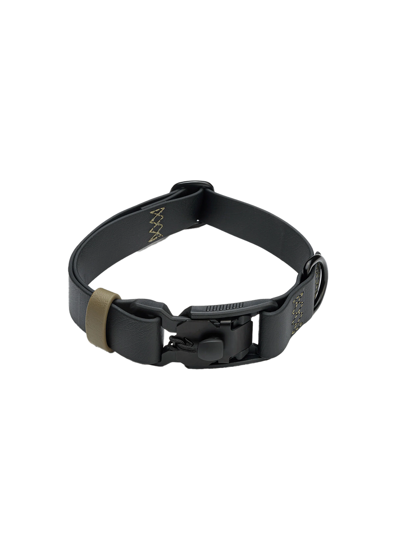 Dog Collar BioThane Ipanema