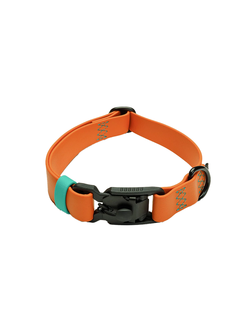 Dog Collar BioThane Ipanema