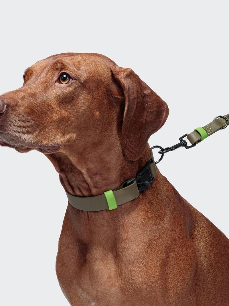 Dog Collar BioThane Ipanema