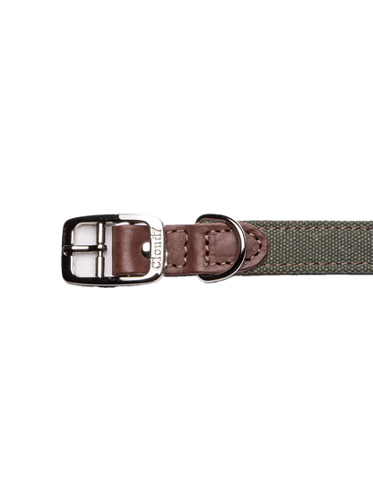 Dog Collar Tivoli