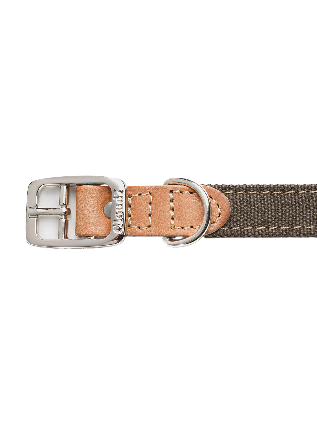 Dog Collar Tivoli