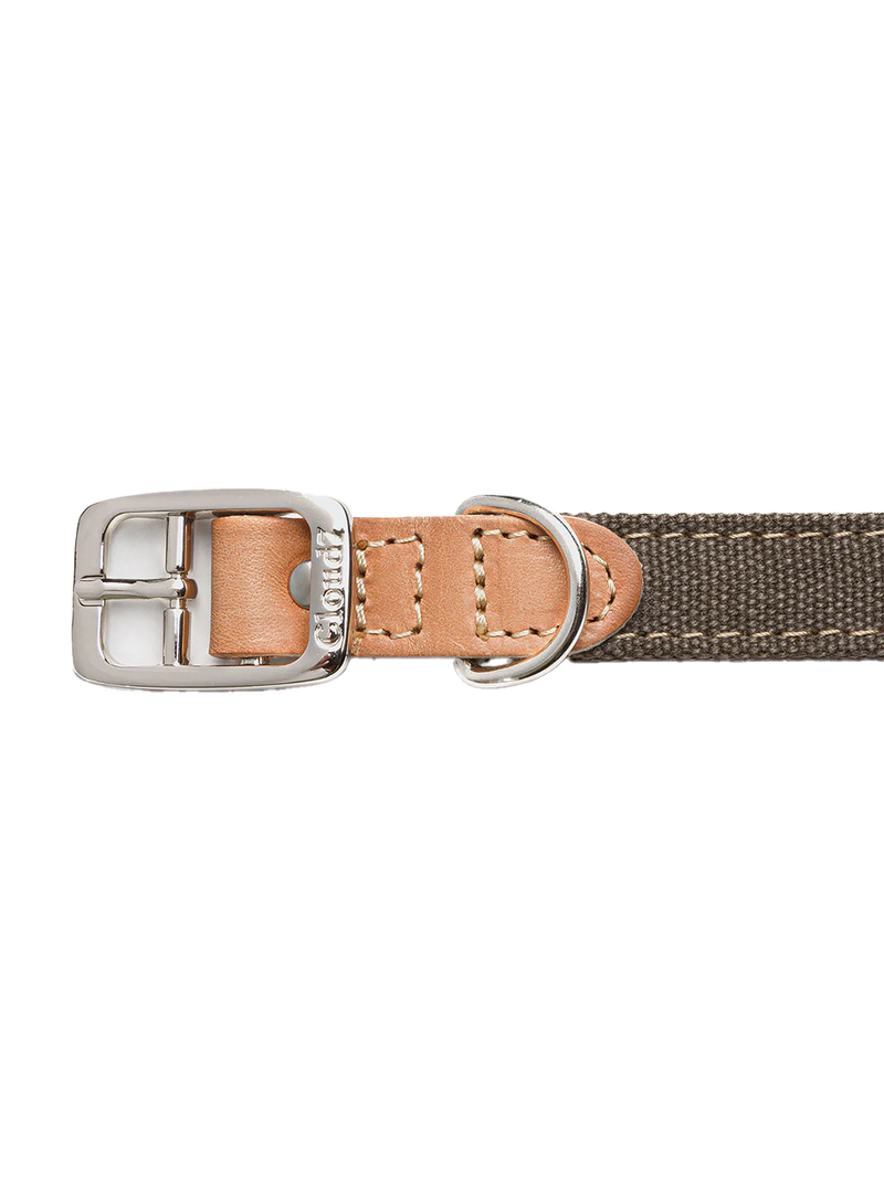 Dog Collar Tivoli