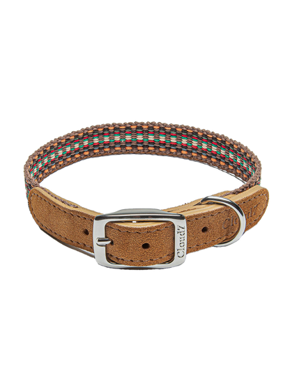 Collar para perros Prater