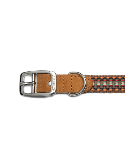 Dog Collar Prater