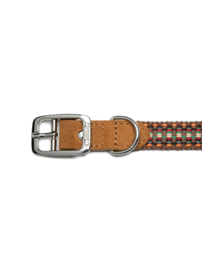 Dog Collar Prater