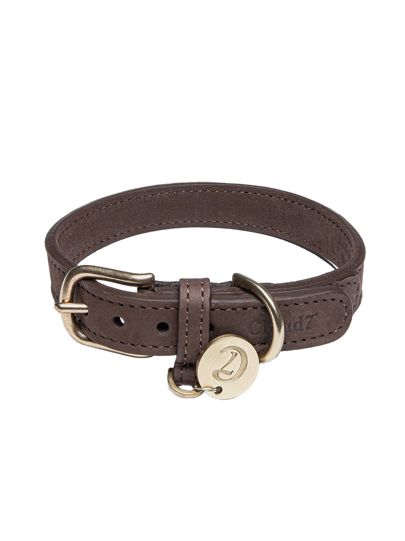 Collar para perros Tiergarten