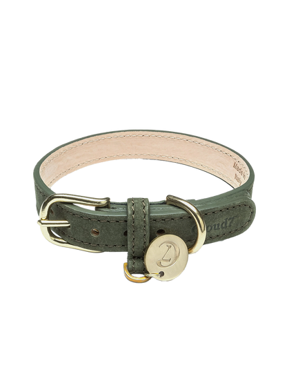 Collar para perros Tiergarten