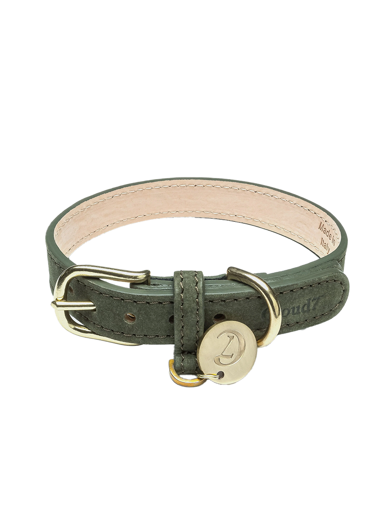 Collar para perros Tiergarten