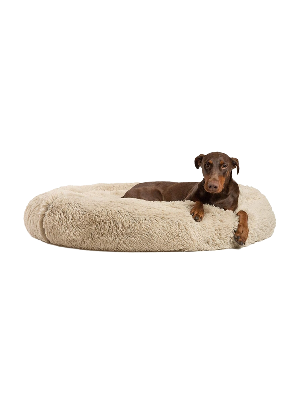 Cama para perro Donut