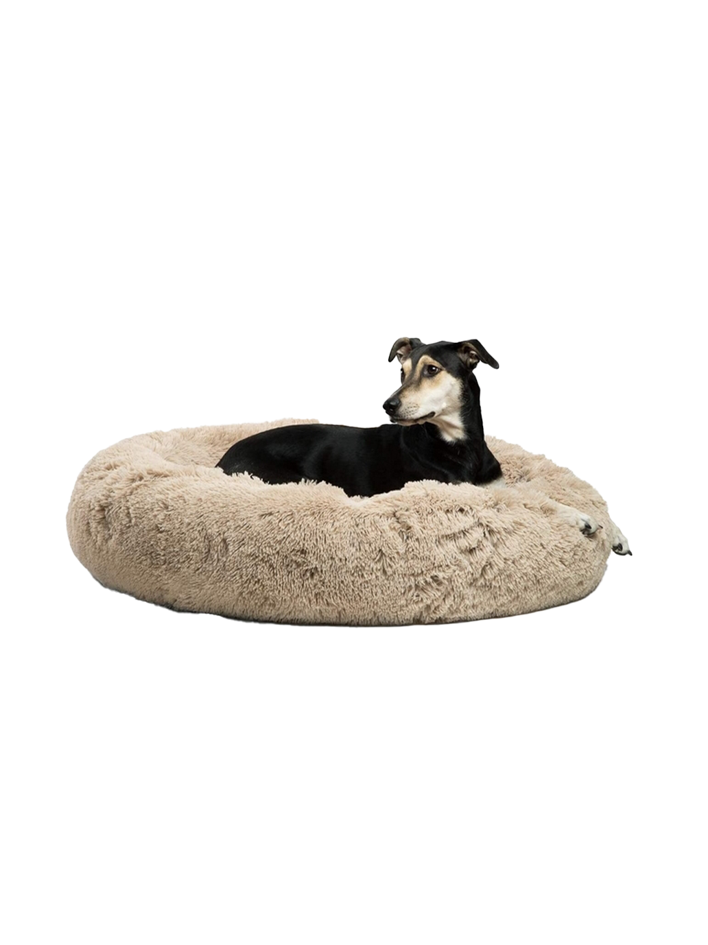 Cama para perro Donut