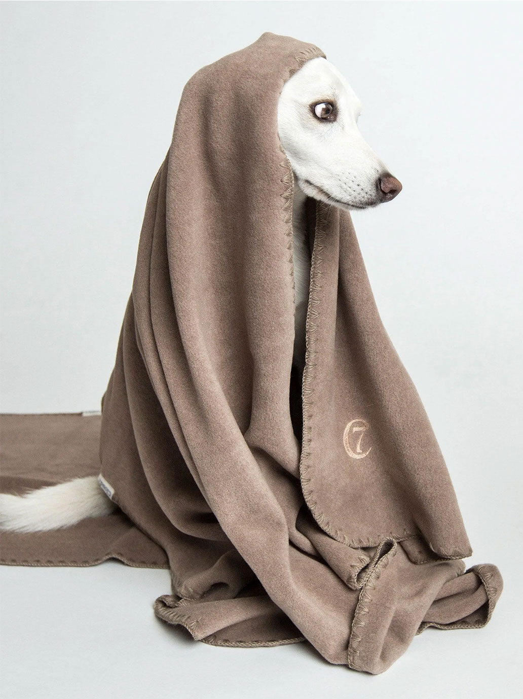 Manta polar para perros