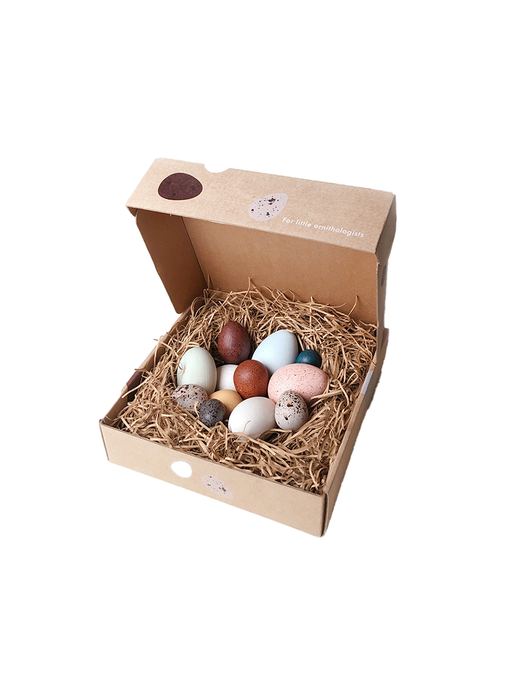 uova di legno in una scatola Una dozzina di uova di uccelli