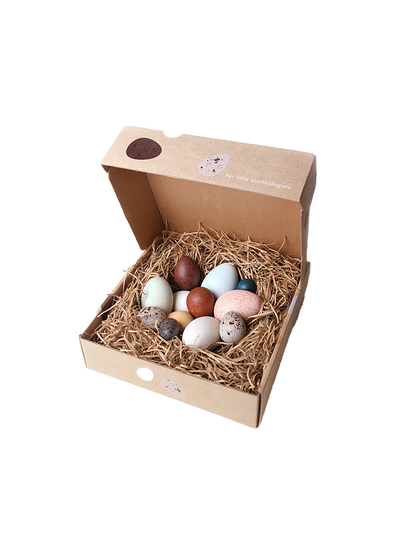 huevos de madera en una caja Una docena de huevos de pájaro