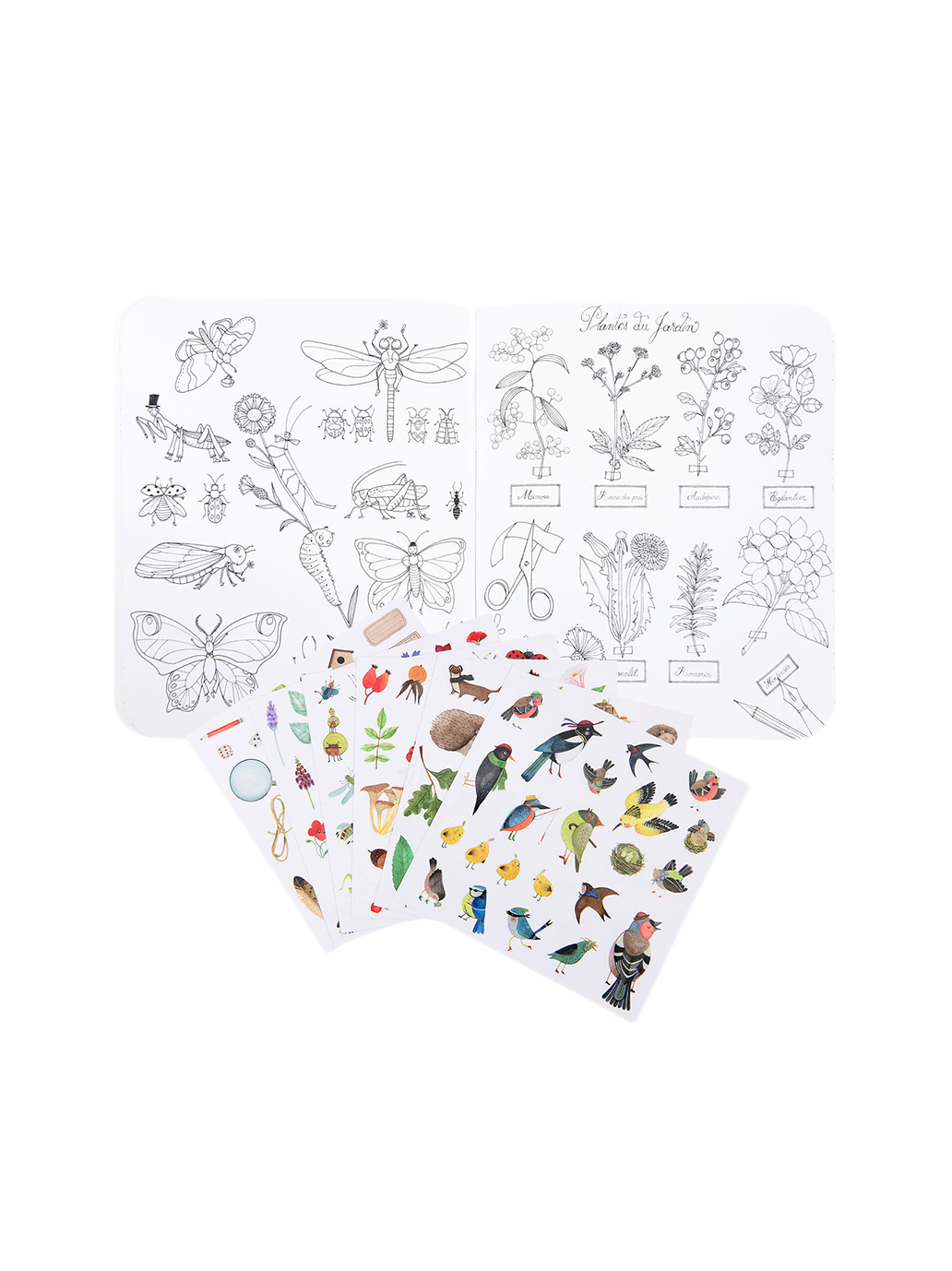 Coloring book with stickers Botany