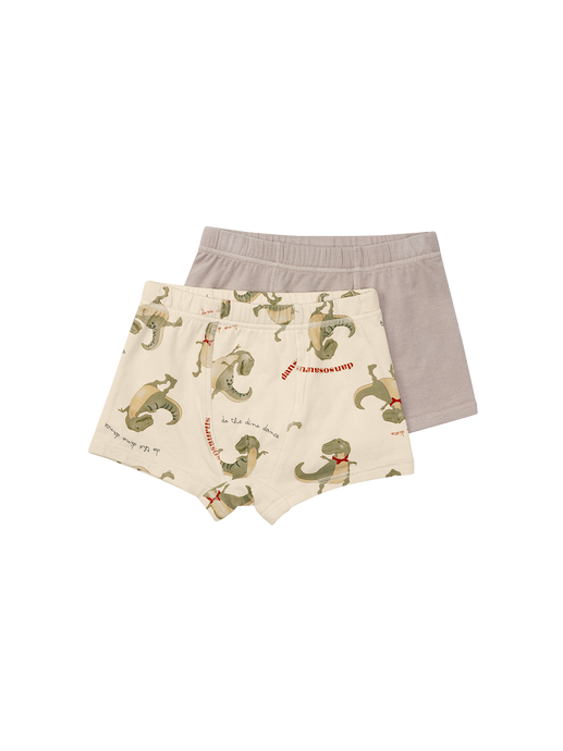 a set of cotton boxers for a boy dansosaurus/stone