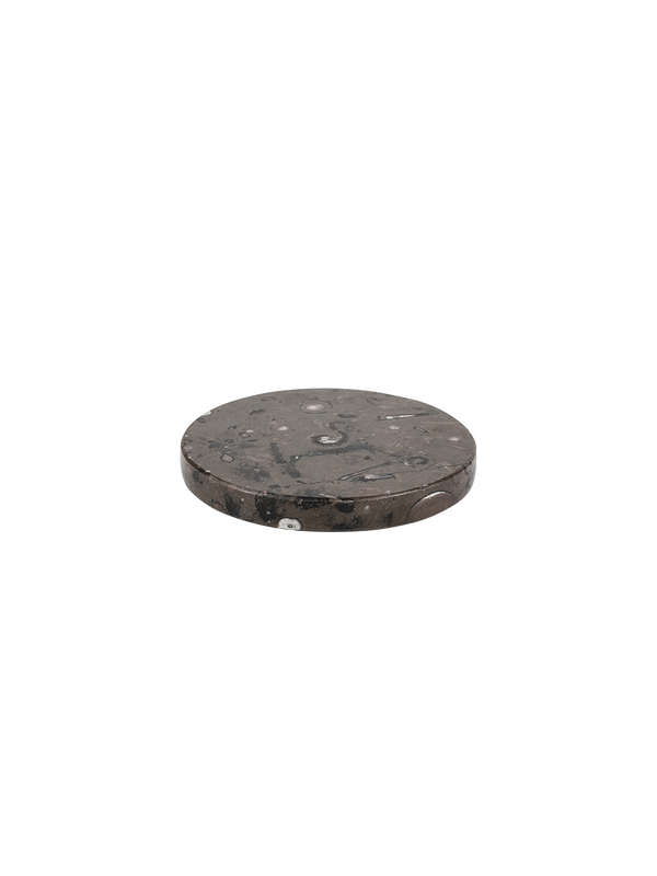 round marble base fossil brown